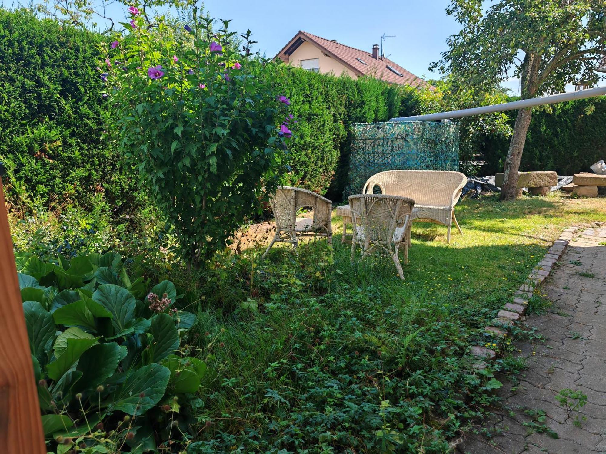 Appartement " Le Chardonneret " Issenheim المظهر الخارجي الصورة